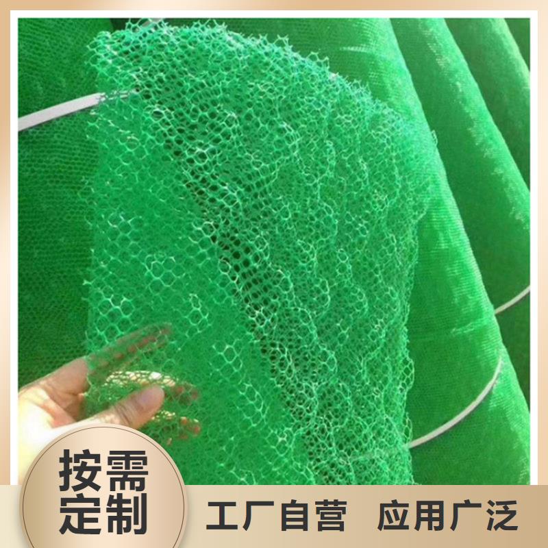 三维植被网矿用阻燃网厂家直销供货稳定
