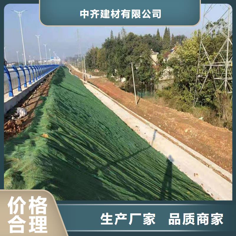 三维植被网土工布随到随提