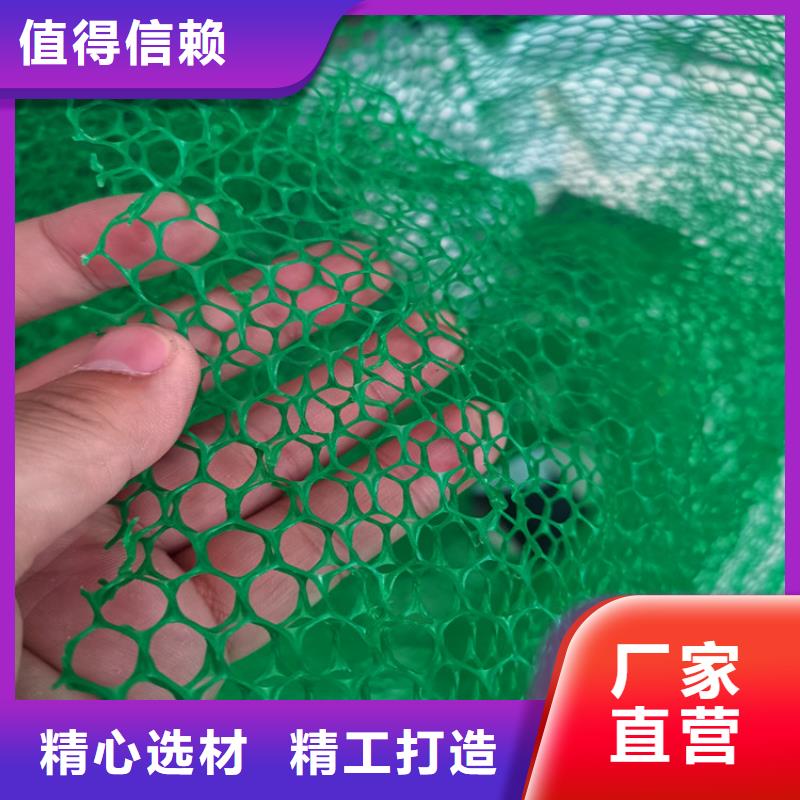 三维植被网土工布随到随提