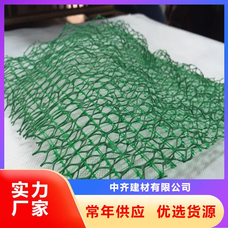 三维植被网【【钢塑土工格栅】】厂家现货批发