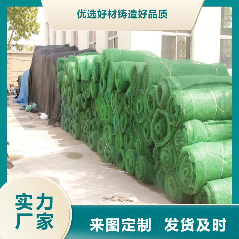 三维植被网HDPE土工膜用心经营