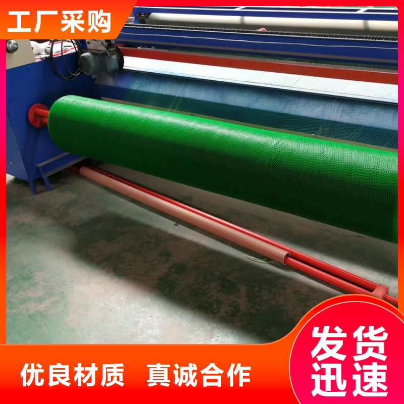 【 三维植被网膨润土防水毯免费寄样】