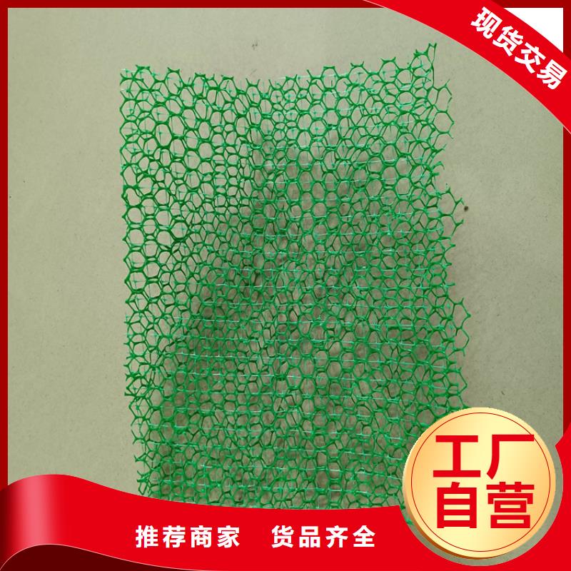 三维植被网HDPE土工膜物流配货上门