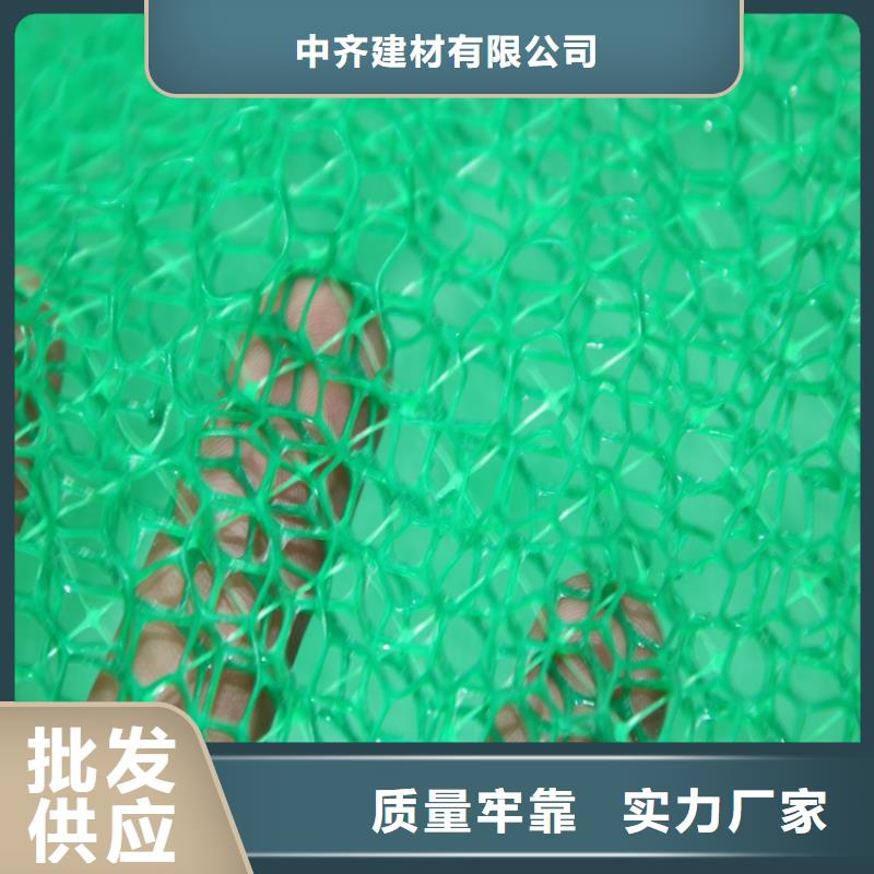三维植被网土工布随到随提
