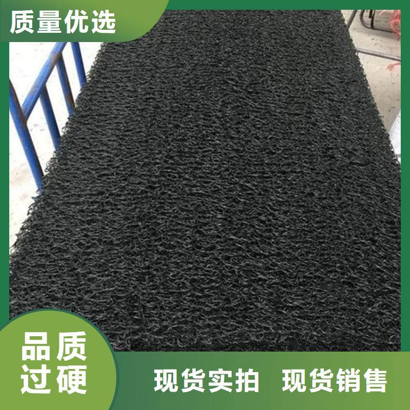 土工席垫生态带工程施工案例