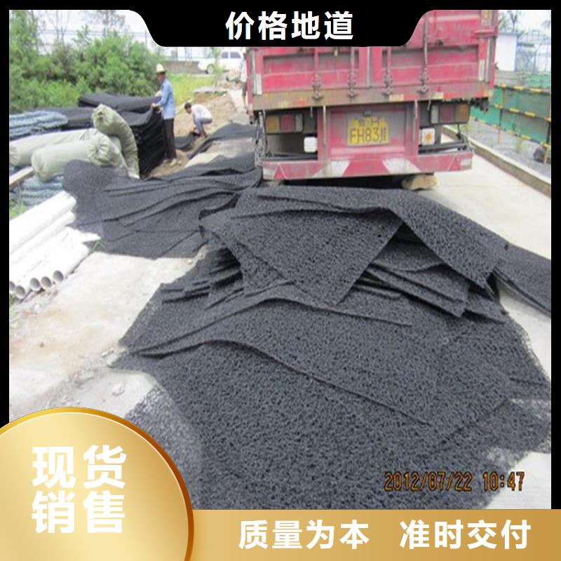 土工席垫【土工网垫】支持拿样