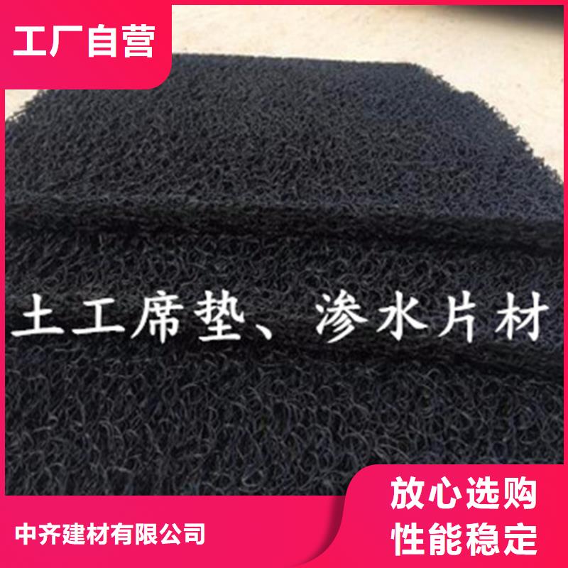 土工席垫【土工网垫】支持拿样