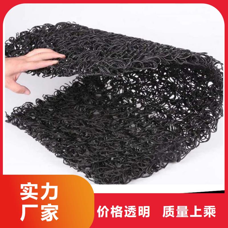 土工席垫【土工网垫】支持拿样