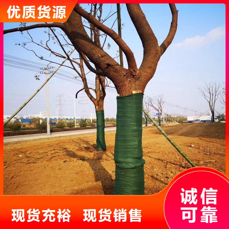 裹树布矿用格栅使用方法