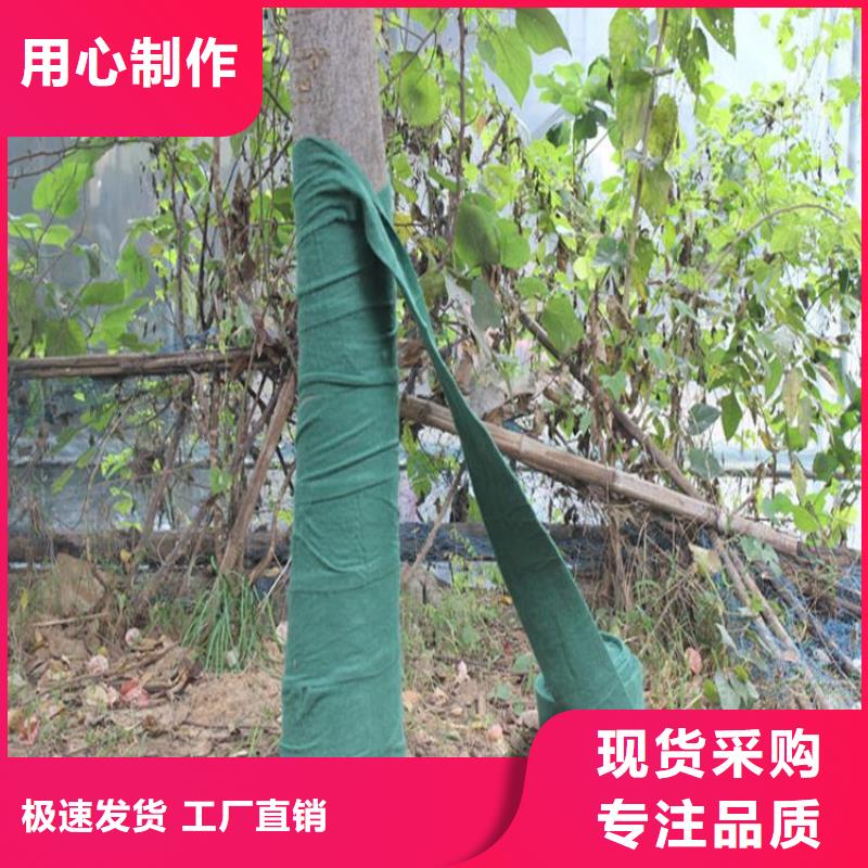 裹树布双向土工格栅品质保障售后无忧