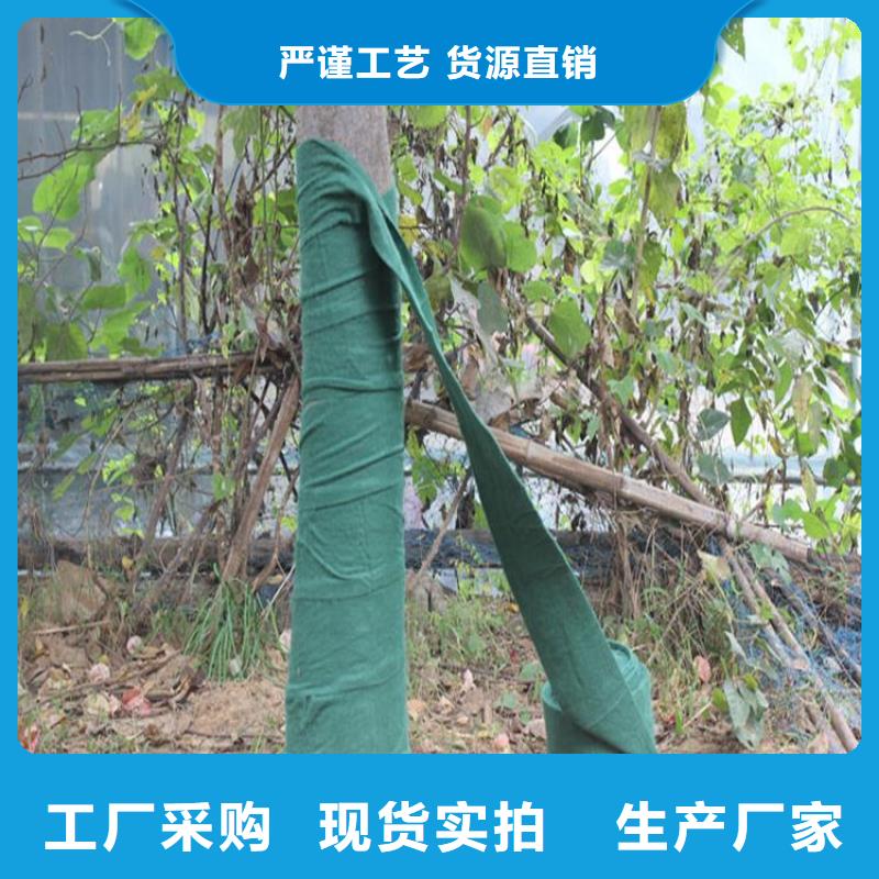 裹树布-蓄水板免费安装