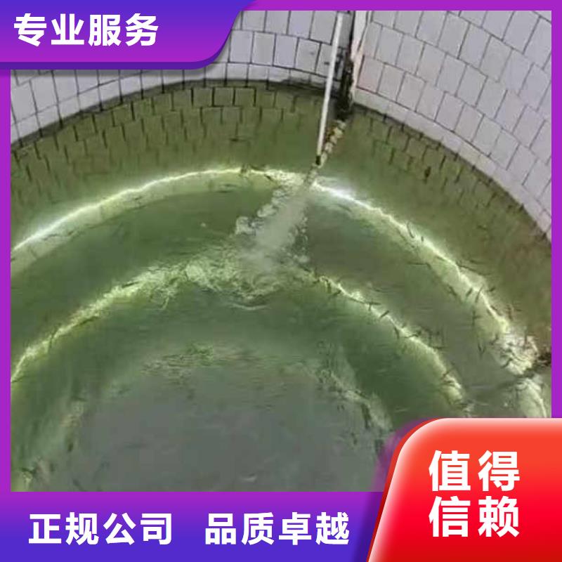 水下作业潜水员服务_水下桥墩加固从业经验丰富