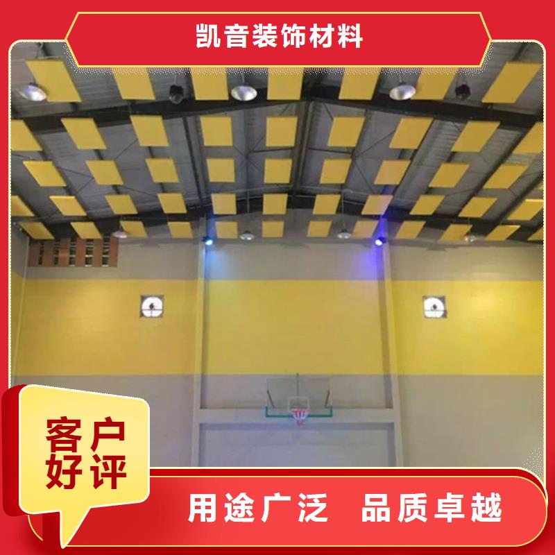 县羽毛球馆体育馆声学改造方案--2025近方案/价格