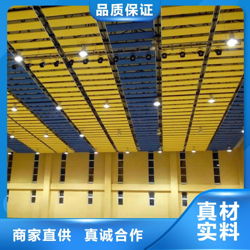 广东省汕头市礐石街道学校体育馆吸音改造价格--2024最近方案/价格