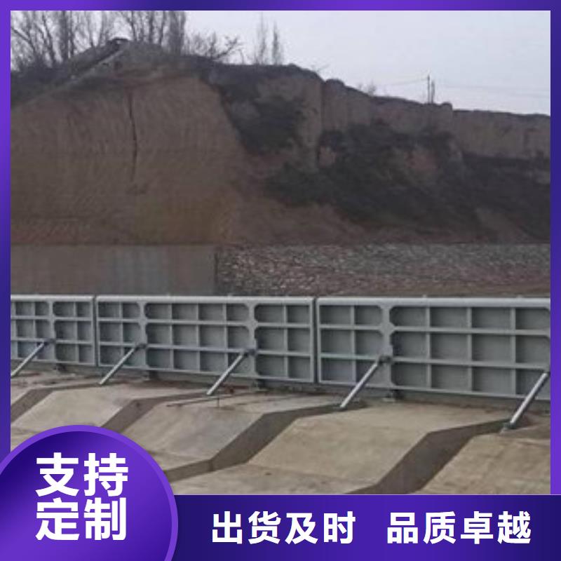 液压双控翻板闸门欢迎咨询订购