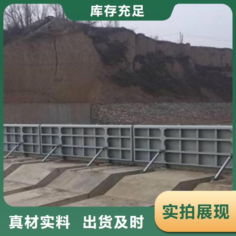 水利自动翻板闸门行业经验可信赖