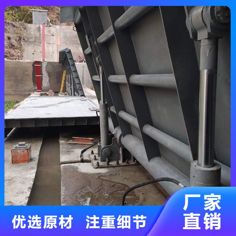 专业生产制造钢坝翻板闸门