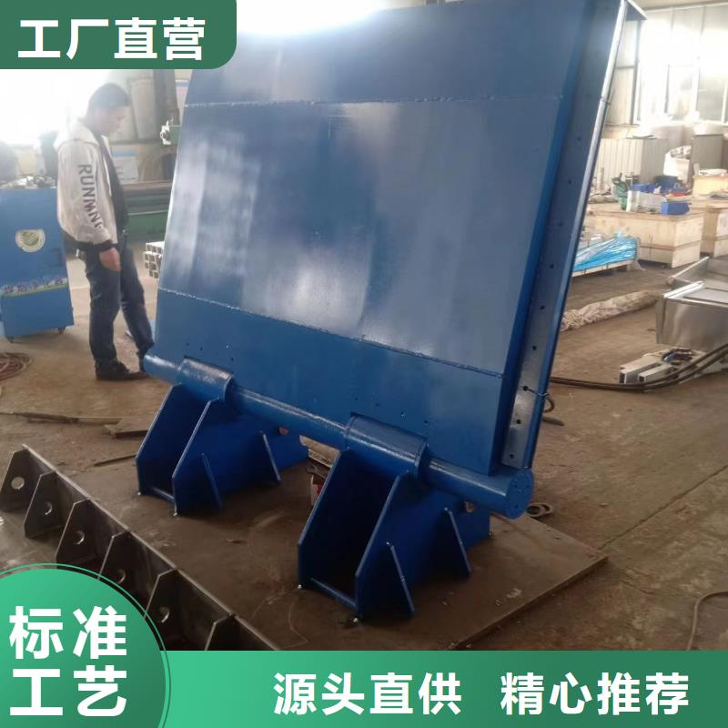 专业生产制造钢坝翻板闸门