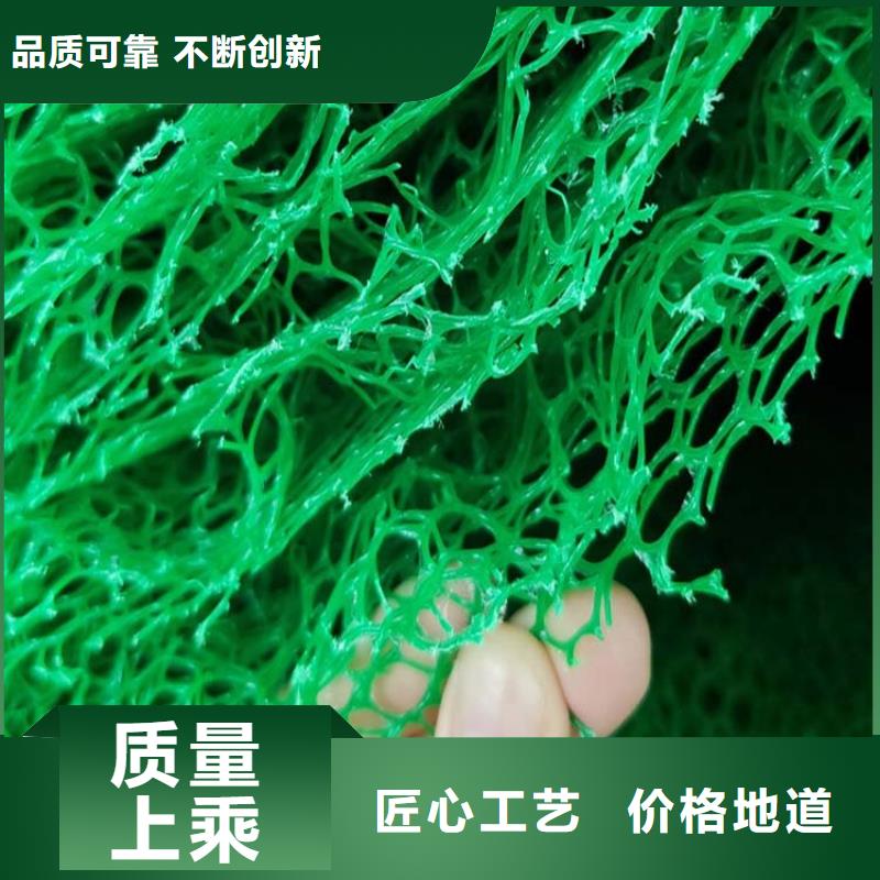 【三维植被网】_仿钢塑钢纤维厂家型号齐全