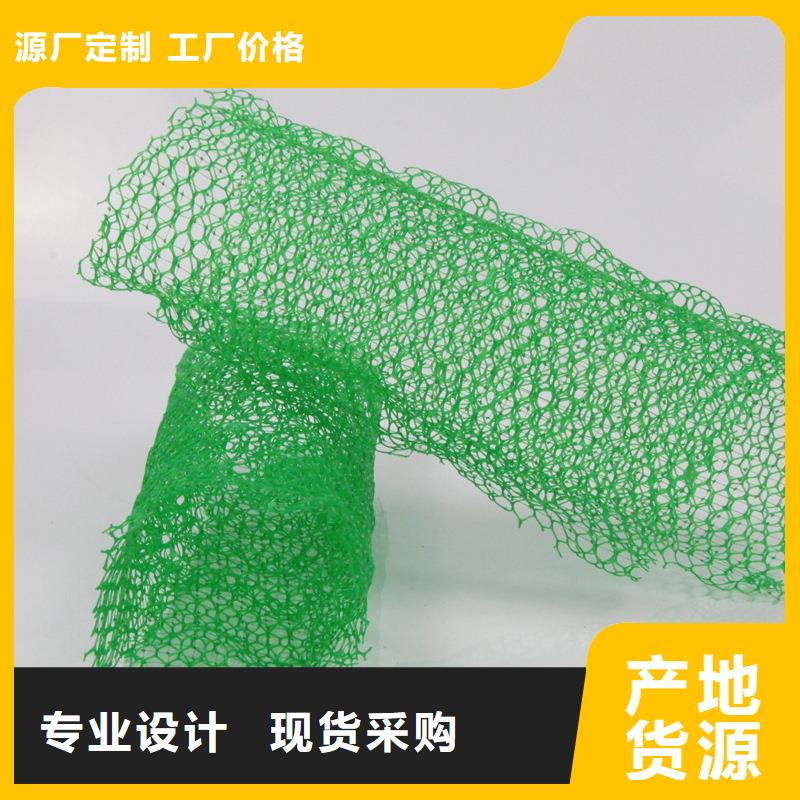 三维植被网砂浆混凝土纤维厂家现货供应