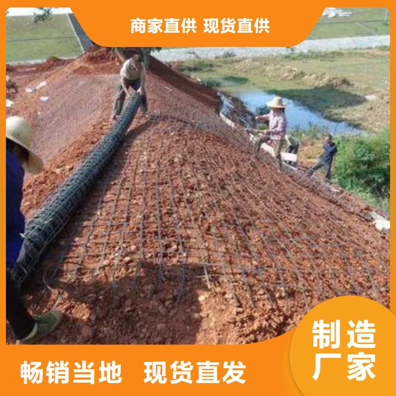 钢塑土工格栅全国走货电话