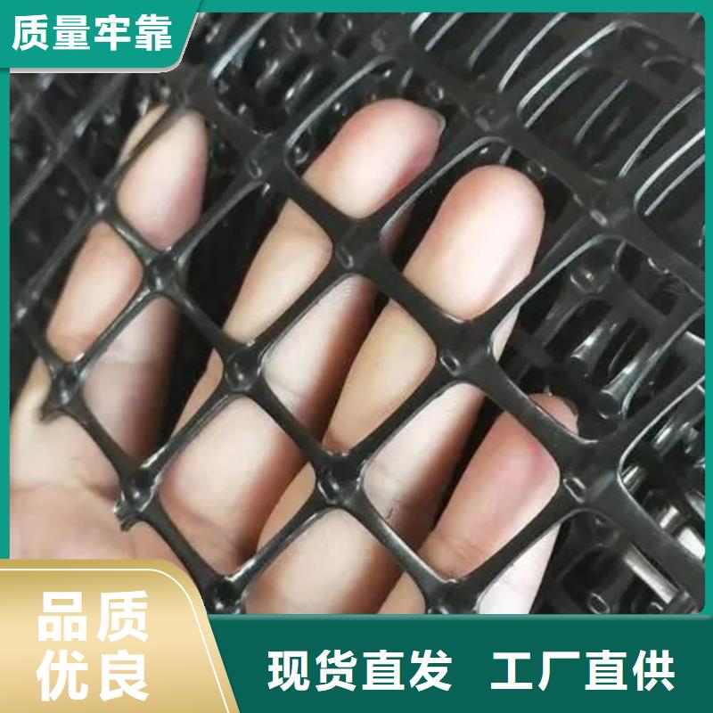 【 土工格栅铜片止水厂家高品质诚信厂家】-金鸿耀工程材料(巴中市分公司)-云商赢企