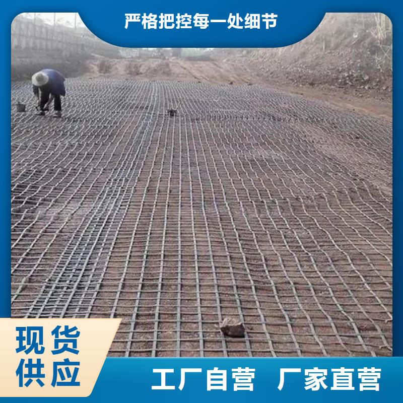 单向土工格栅全国走货厂家