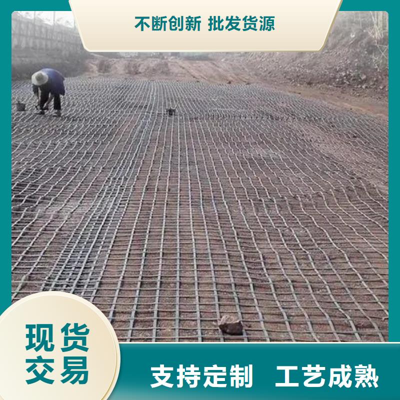 三维土工格栅厂家厂家