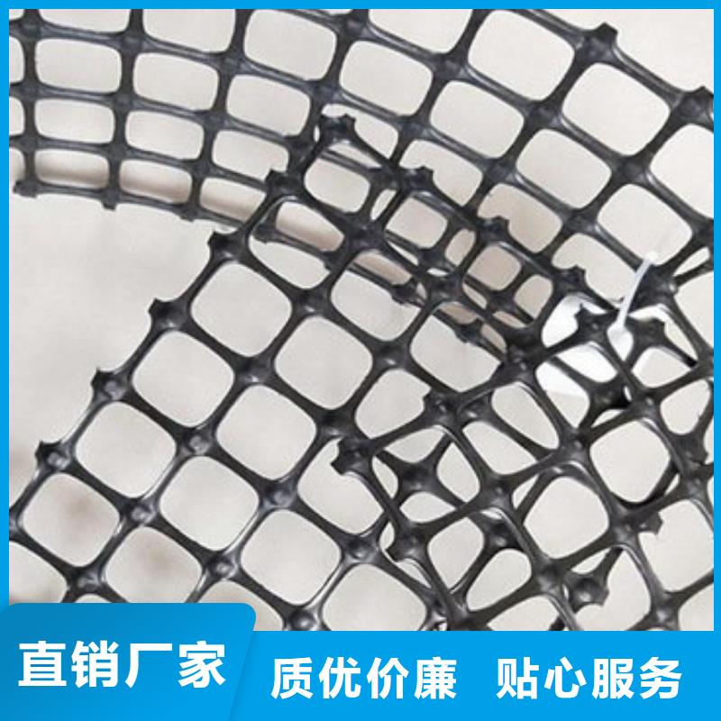 【 土工格栅铜片止水厂家高品质诚信厂家】-金鸿耀工程材料(巴中市分公司)-云商赢企