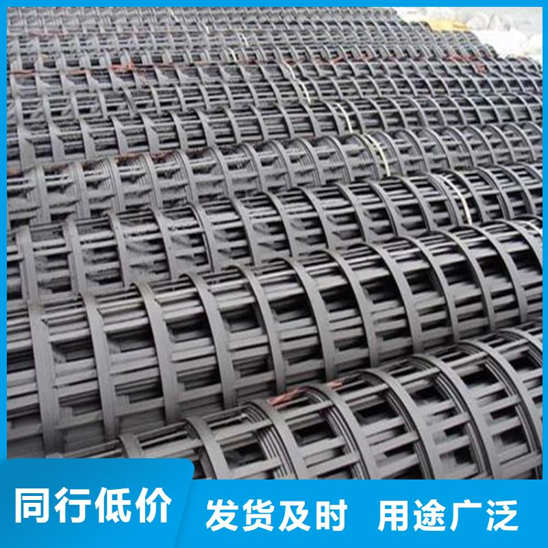 钢塑格栅现货充足电话