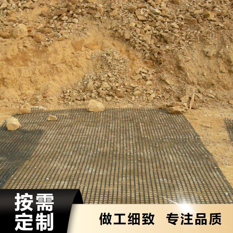 钢塑土工格栅了解更多电话