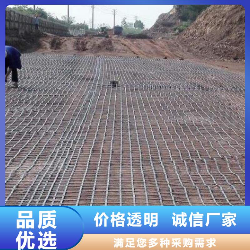 【土工格栅】-渗排水网垫货到付款