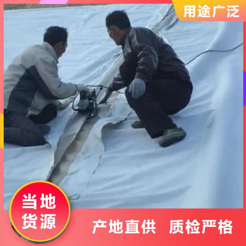 土工布-【止水铜片】实力大厂家-可发货到饶平|湘桥|江门|湛江|茂名|河源|梅州|肇庆