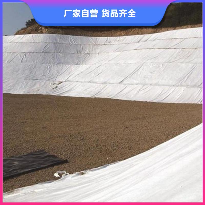 土工布,聚丙烯纤维生产厂家价格有优势