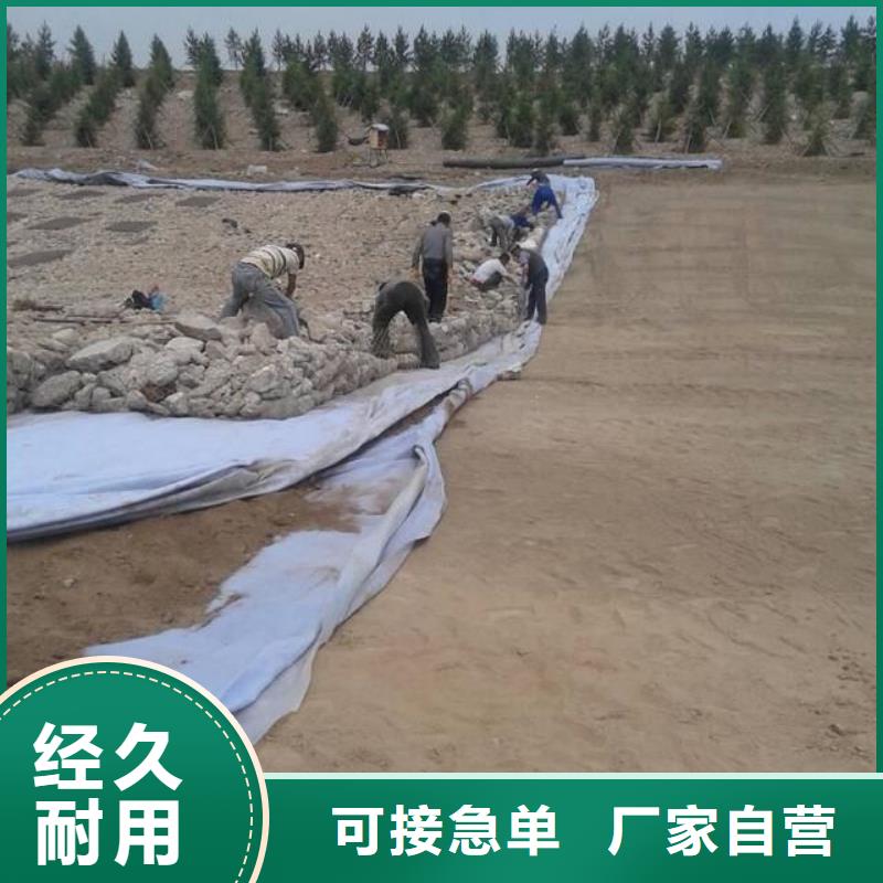 土工布聚丙烯单丝纤维优良工艺