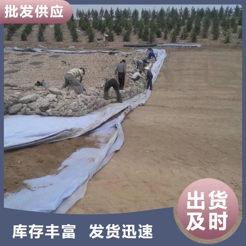 土工布_【紫铜止水片】工厂直供