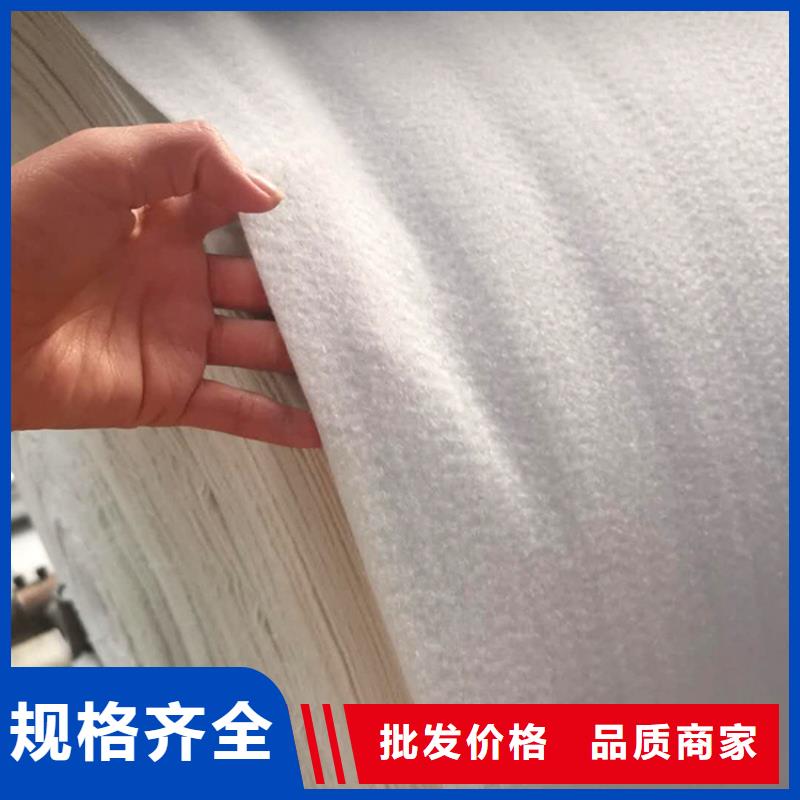 聚酯无纺土工布供应商