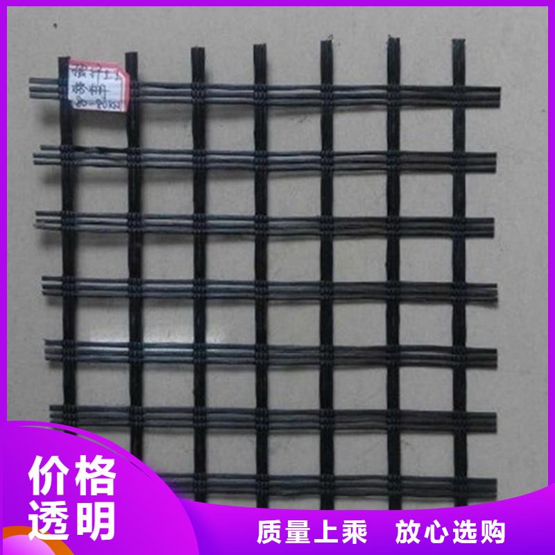 玻璃纤维格栅-聚酯土工格栅-TGSG双向塑料土工格栅
