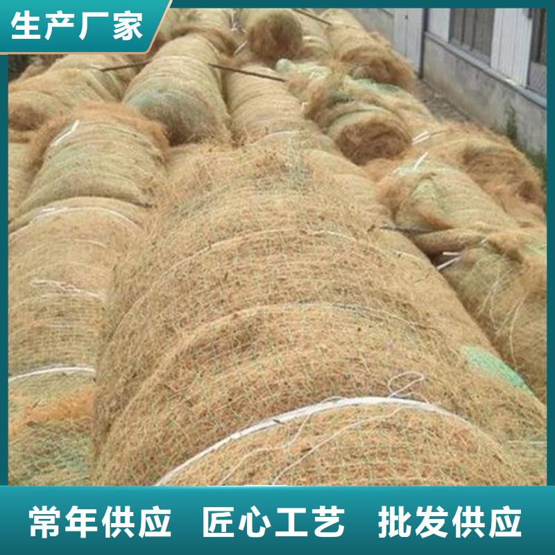 植物纤维毯护坡植被植草毯