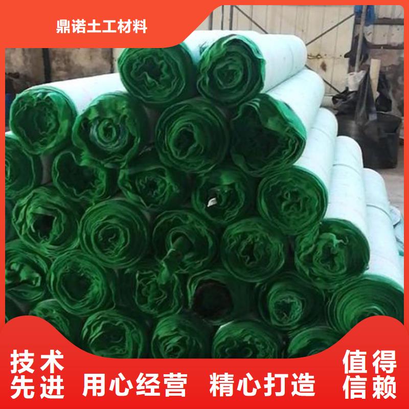 护坡植被植草毯-椰丝植物毯