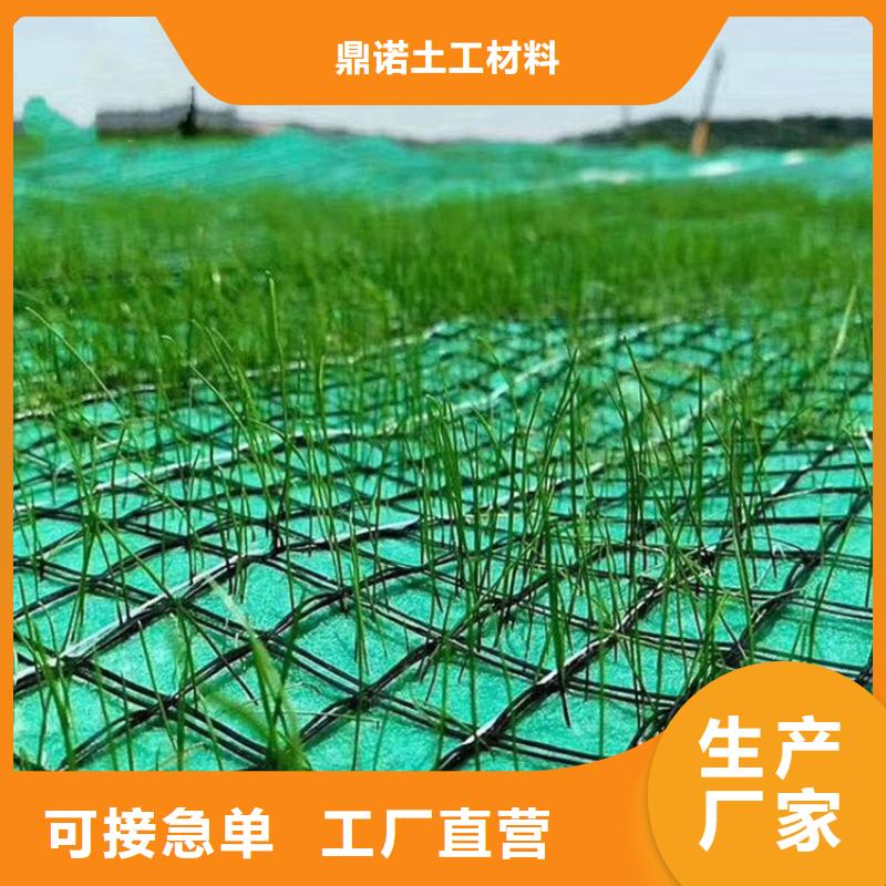 植物纤维毯加筋抗冲生物毯