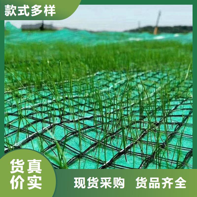生态环保草毯-加筋复合环保草毯