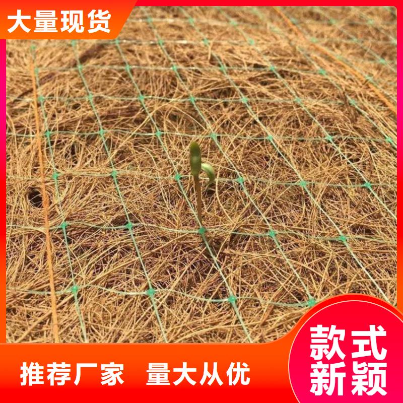 护坡绿化植草毯加筋复合植草毯