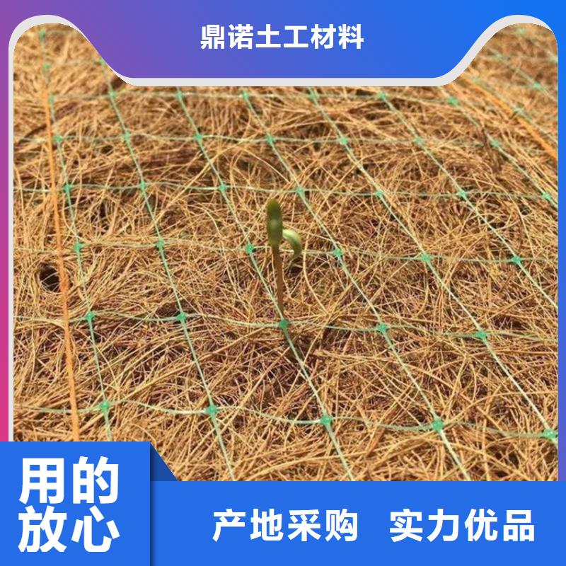 椰丝植物纤维毯-植物生态毯-椰丝草毯
