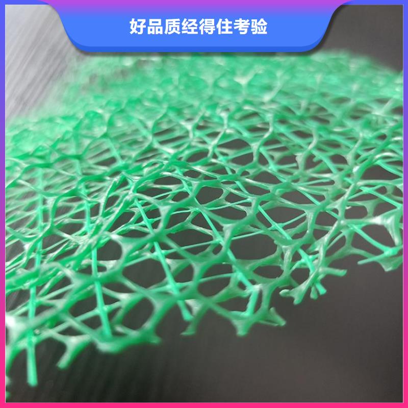 三维土工网垫-EM2三维植被网