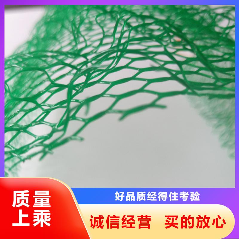 三维植被网塑料土工格栅有口皆碑