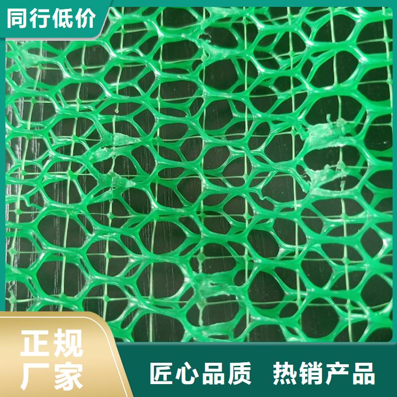 三维土工网垫-EM5三维护坡植草网垫