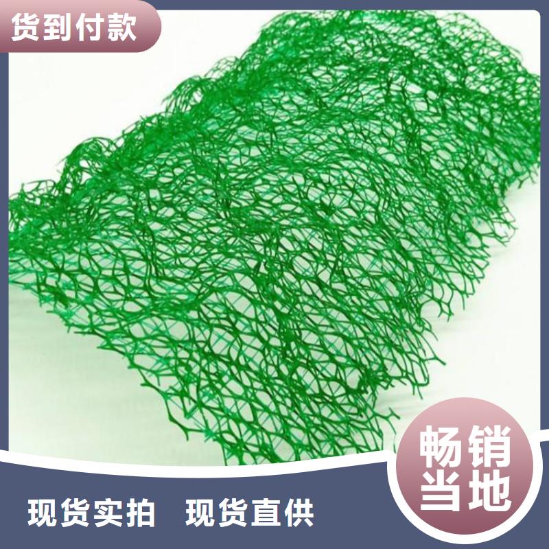 三维固土网垫EM3三维加筋网垫