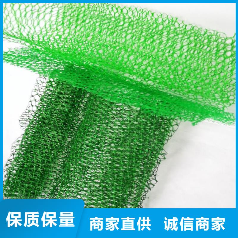三维固土网垫EM3三维土工网垫