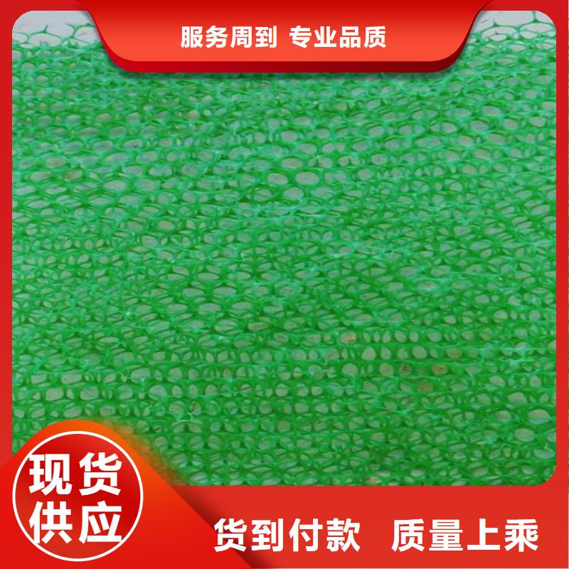【 三维植被网-HDPE土工膜工程施工案例】